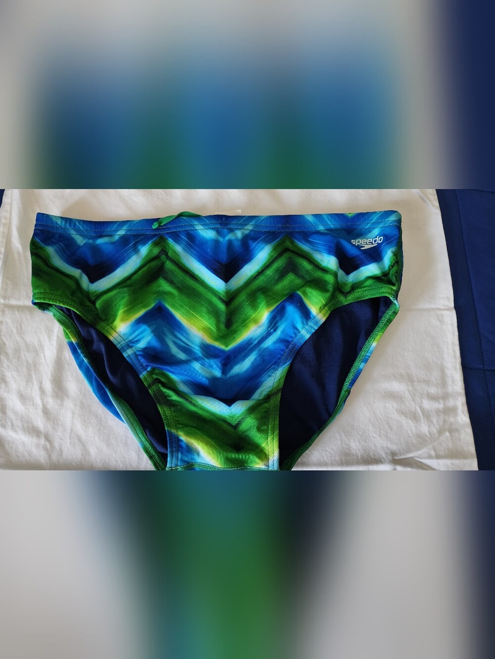 Speedo Men's Blue & Green Chevron Swim Trunks